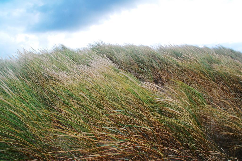 Dune Bep Schiermonnikoog Exterior foto