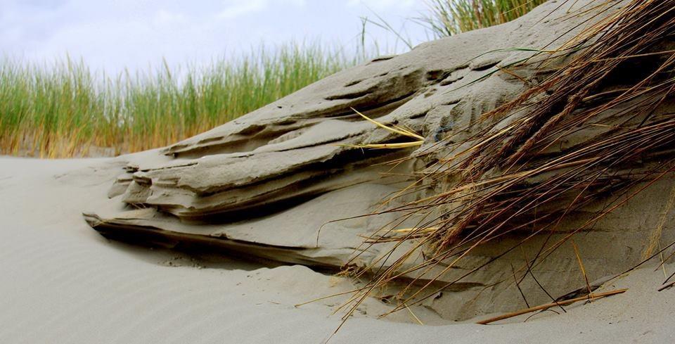 Dune Bep Schiermonnikoog Exterior foto